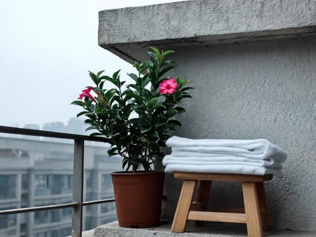 Dipladenia en invierno: cuánto frío soporta y cómo protegerla
