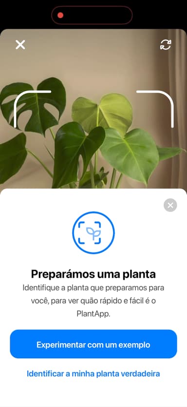 Plant App tilbyder en prøveplante til at teste identifikation