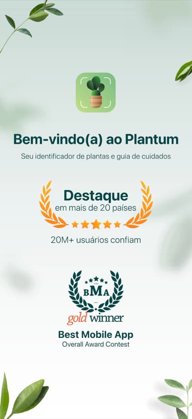 Plantums Willkommensbildschirm mit Auszeichnungen