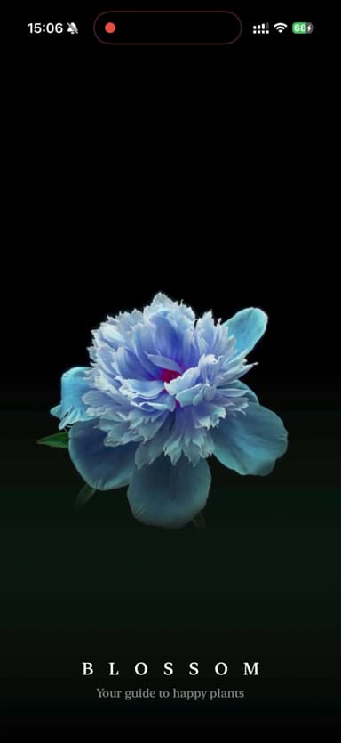 Blossom Startbildschirm mit sich entfaltender Blume