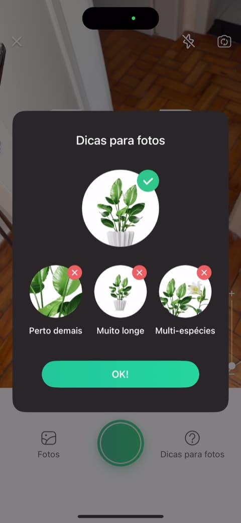 PlantParent rakenduse ekraanipilt